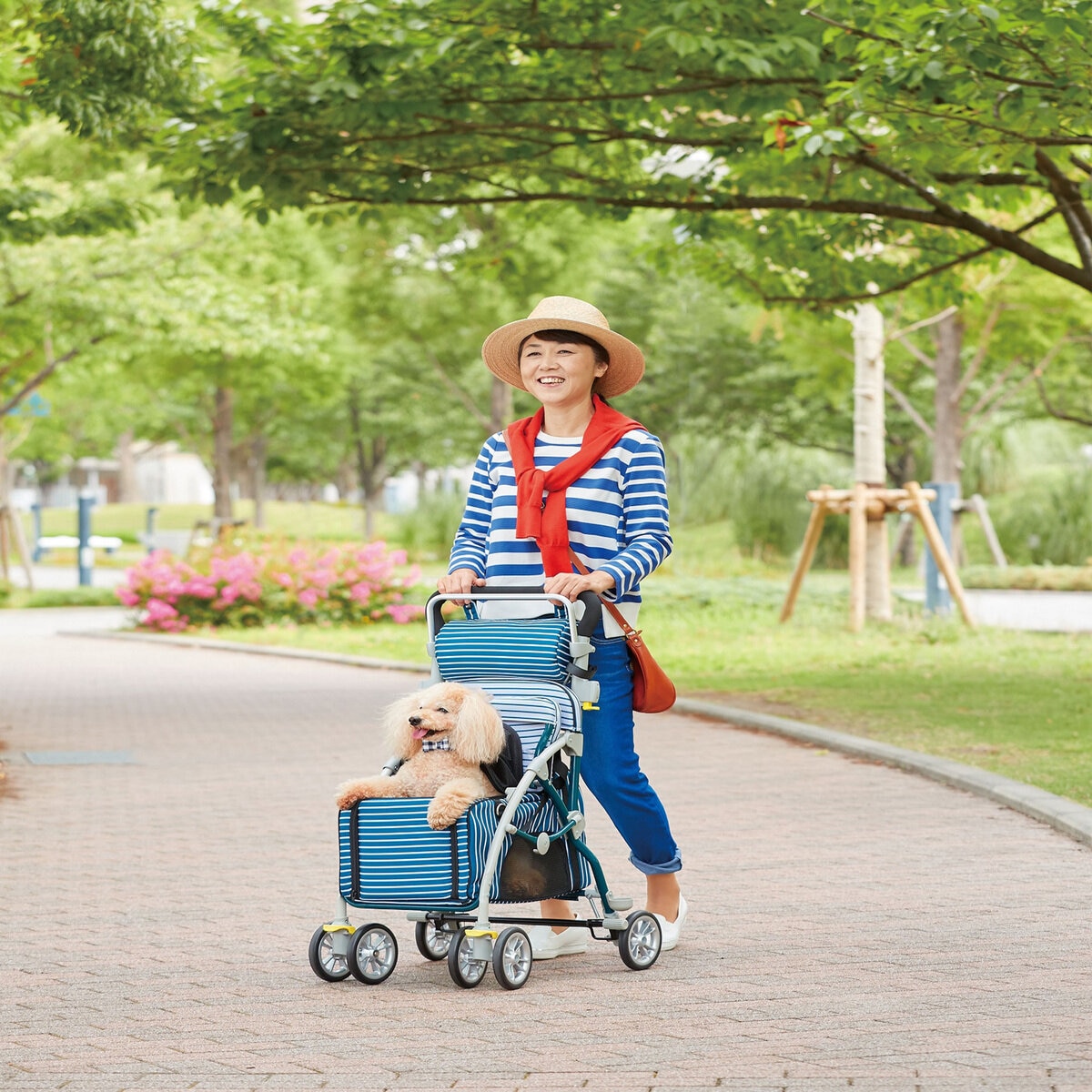 座れるペットカート ラクティブペット(シルバーカー仕様) | Costco Japan