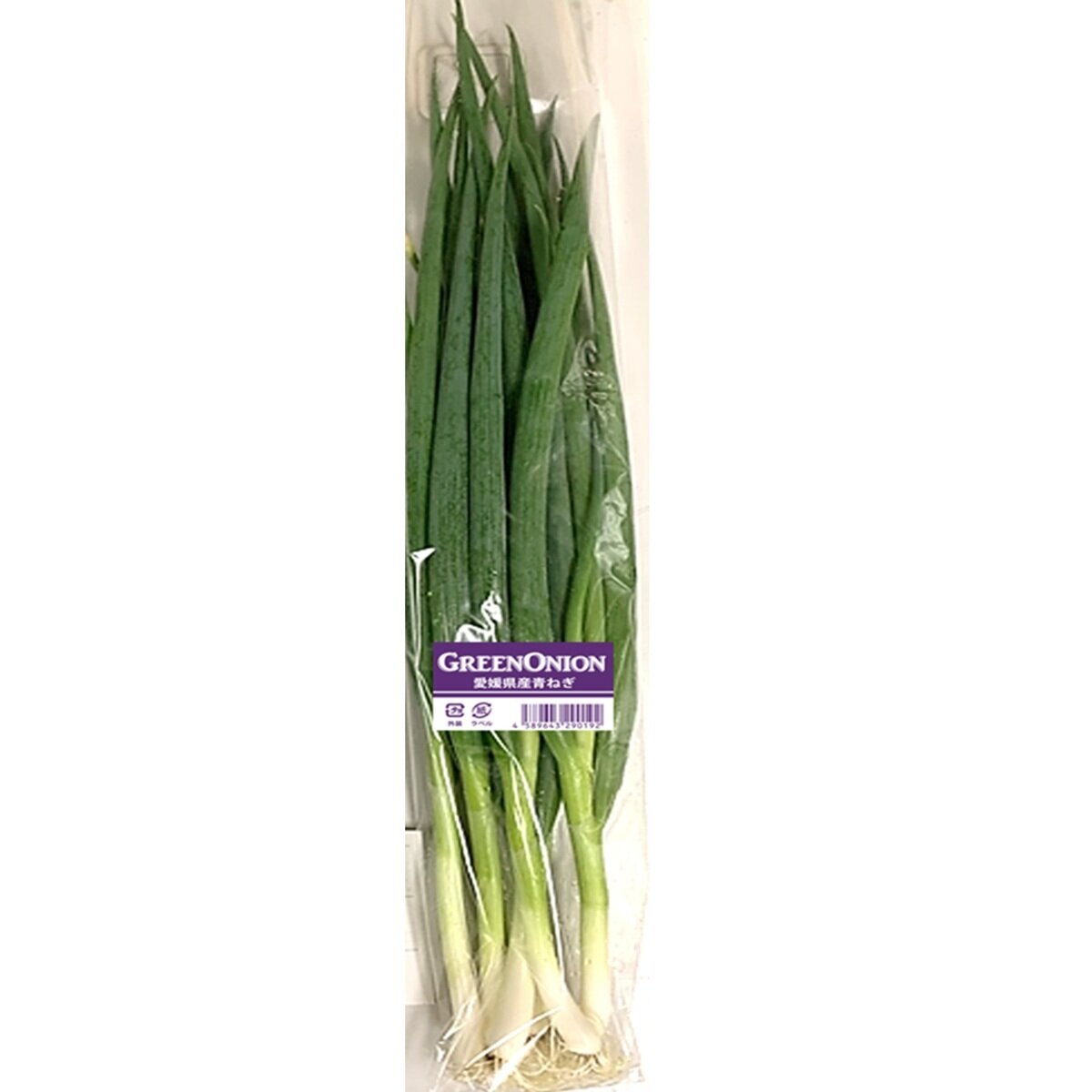 青ねぎ300G | Costco Japan
