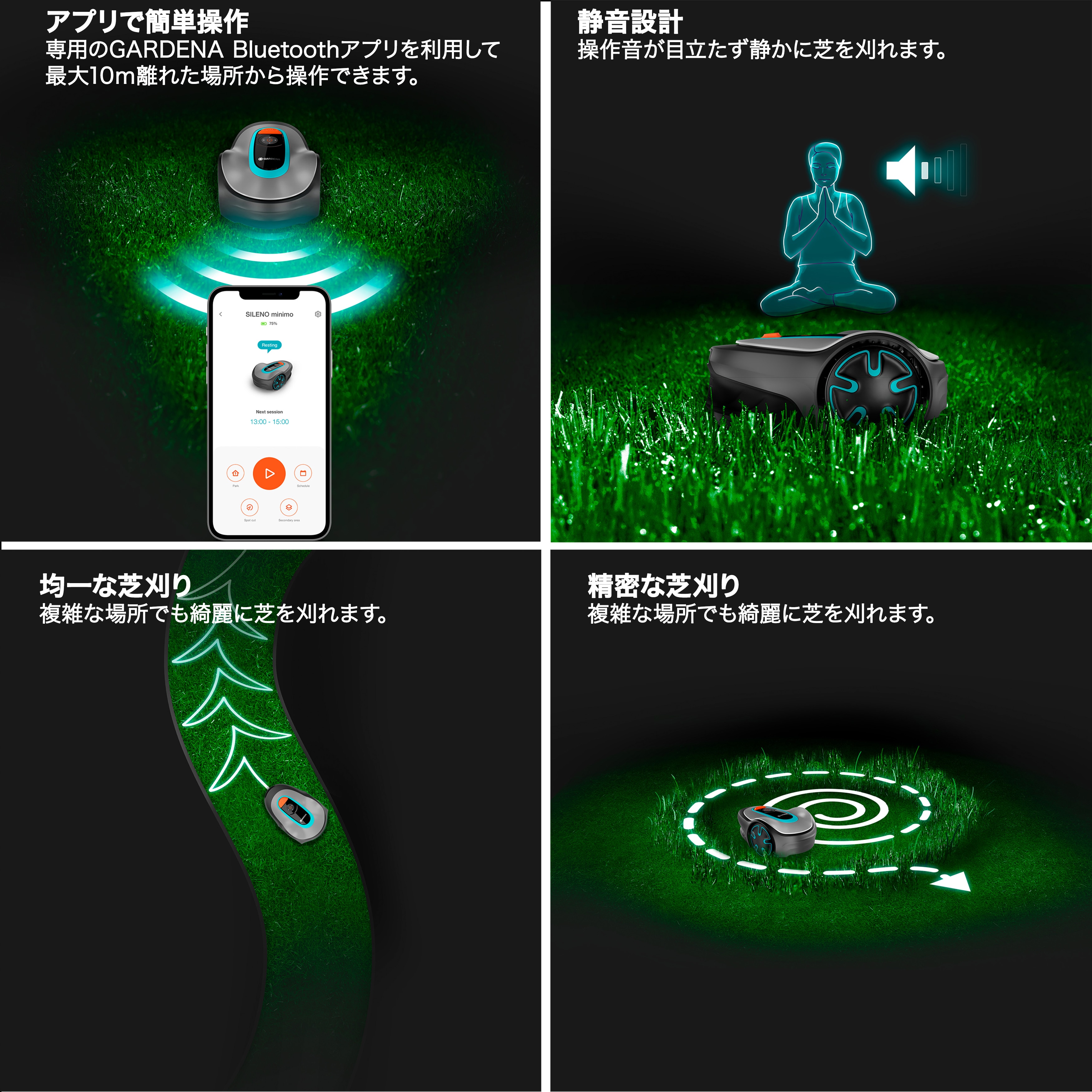 item description