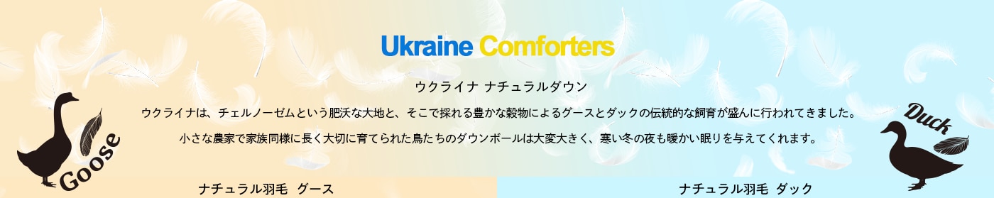 Ukraine Down