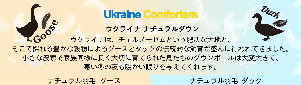 Ukraine Down