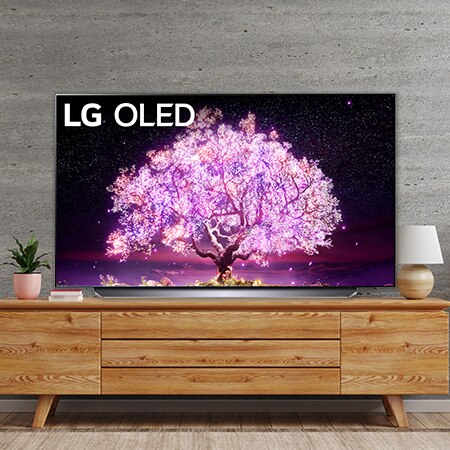 LG 48型 4K 有機EL テレビ