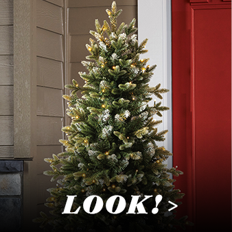 クリスマス 22 Costco Japan