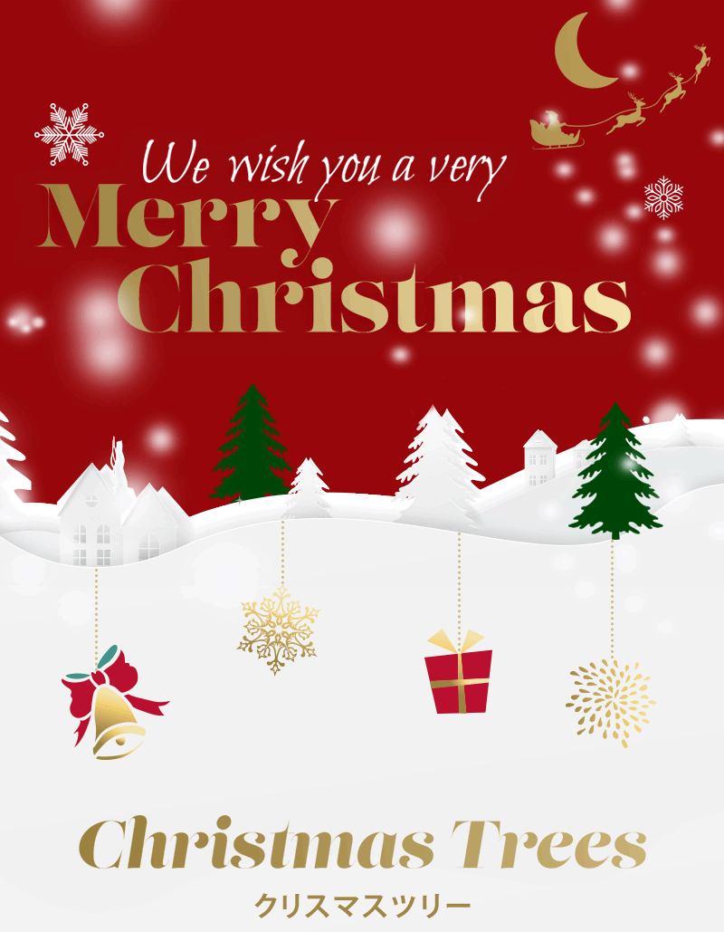 クリスマス 21 Costco Japan