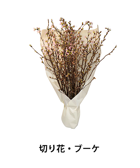 切り花・ブーケ / Floral