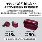 AVIOT 完全ワイヤレスイヤホン TE-BD11tR ダークルージュ AVIOT 完全ワイヤレスイヤホン TE-BD11tR ダークルージュ