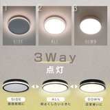 Edison Smart（エジソンスマート）TREO シーリングライト ブラックTRE-TZ453BK・ホワイトTRE-TZ453WH