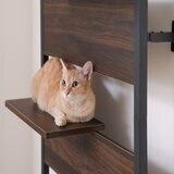 キャットステップ ダークブラウン