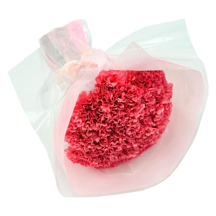 カーネーション 24本 ピンク