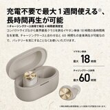 AVIOT 完全ワイヤレスイヤホン TE-D01V-GY EC