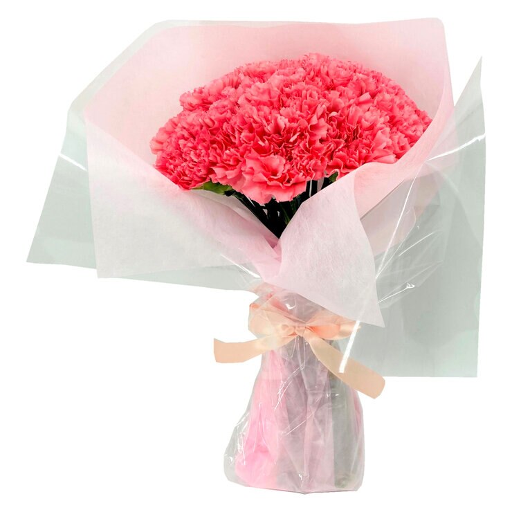 カーネーション 24本 ピンク