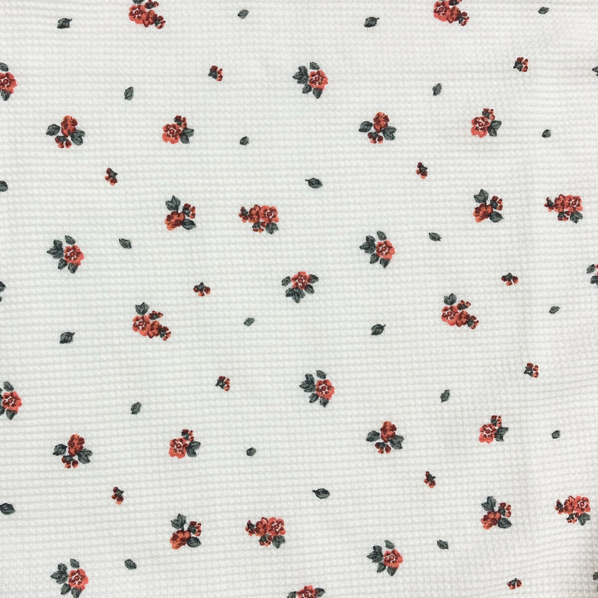 フルーツ オブ ザ ルーム 長袖 ラウンジウェアセット レッド M