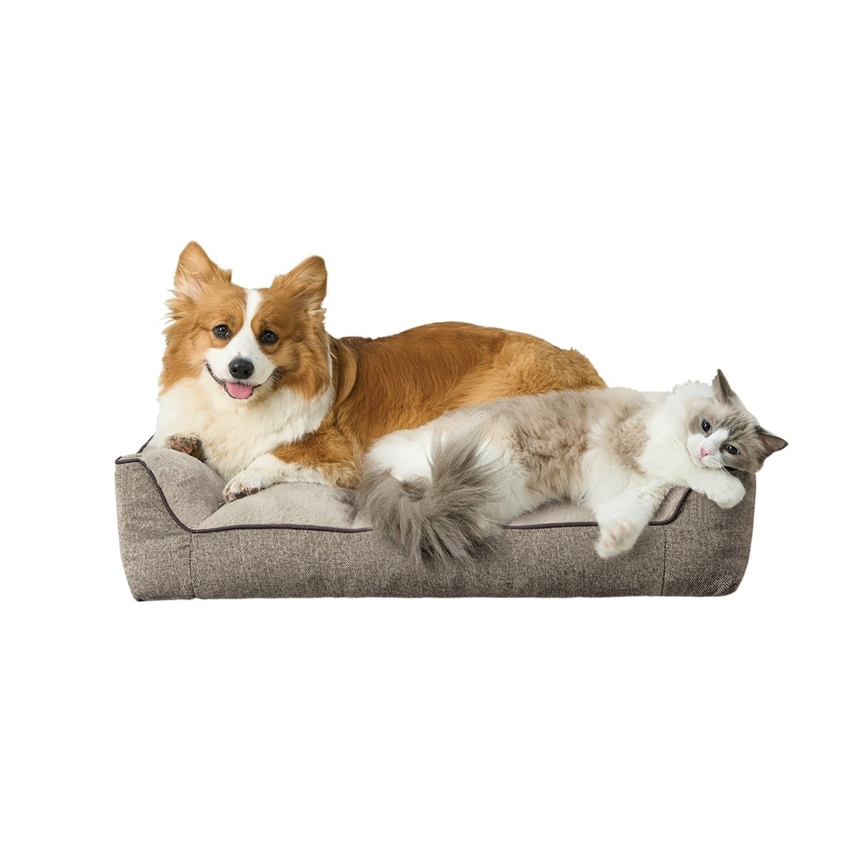 カークランドシグネチャー 長方形ペットベッド ベージュ | Costco Japan