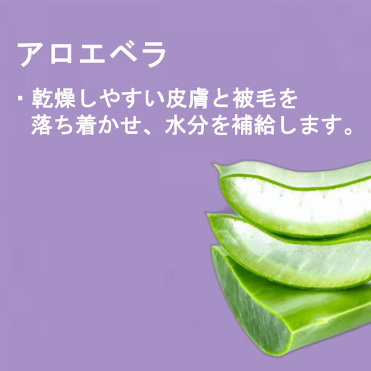 PAUL MITCHELL Pet 軽く明るいシャンプー500ml