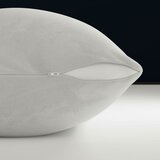 Tranquilty ハガブル枕 2個パック