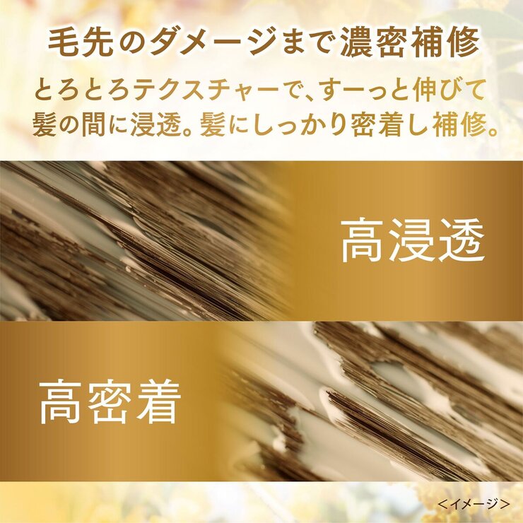 LUX (ラックス) スーパーリッチシャインとろとろキンモクセイトリートメント 300g x 2