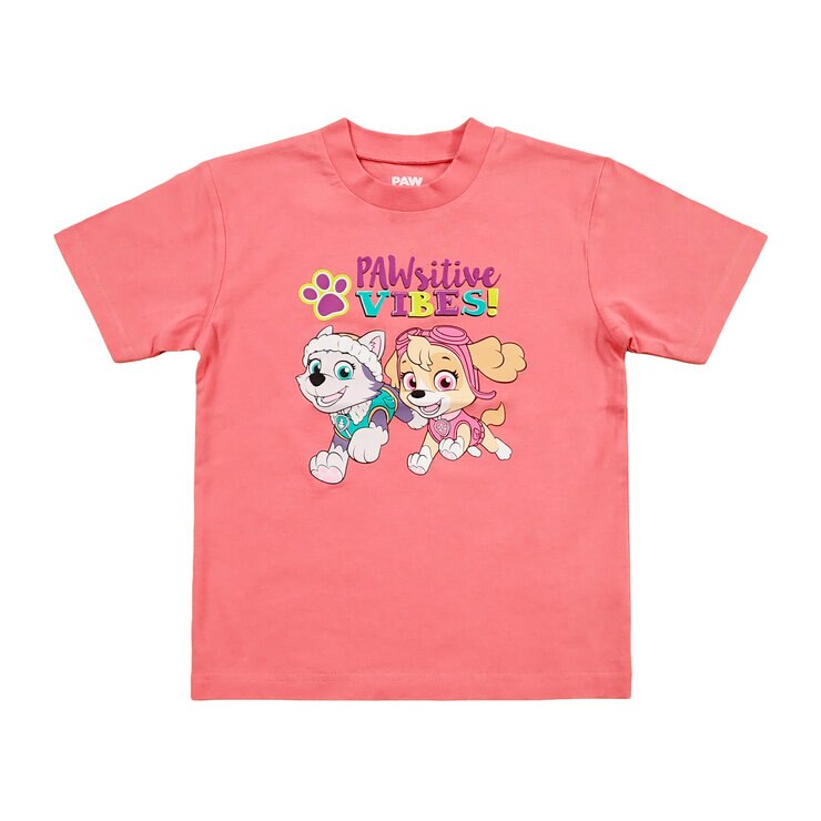 パウパトロール キッズ Tシャツ 4枚セット アソート D 100