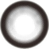 シャプン ワンデー ときとめグレー 10枚入り 齊藤なぎさイメージモデルカラコン 度なし (±0.00)