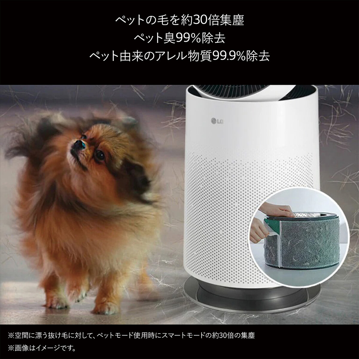 LG サーキュレーター機能付き2in1空気清浄機 LG PuriCare Pet AS657DWT0