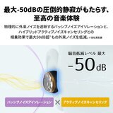 AVIOT 完全ワイヤレスイヤホン TE-D01T レッド