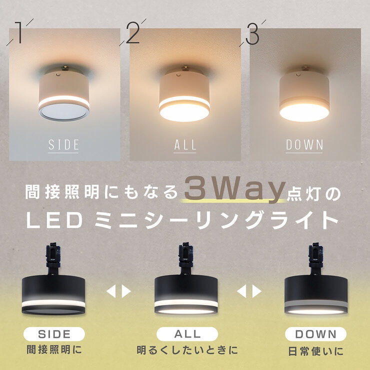 Edison Smart(エジソンスマート) TREOミニシーリングライト 引掛け