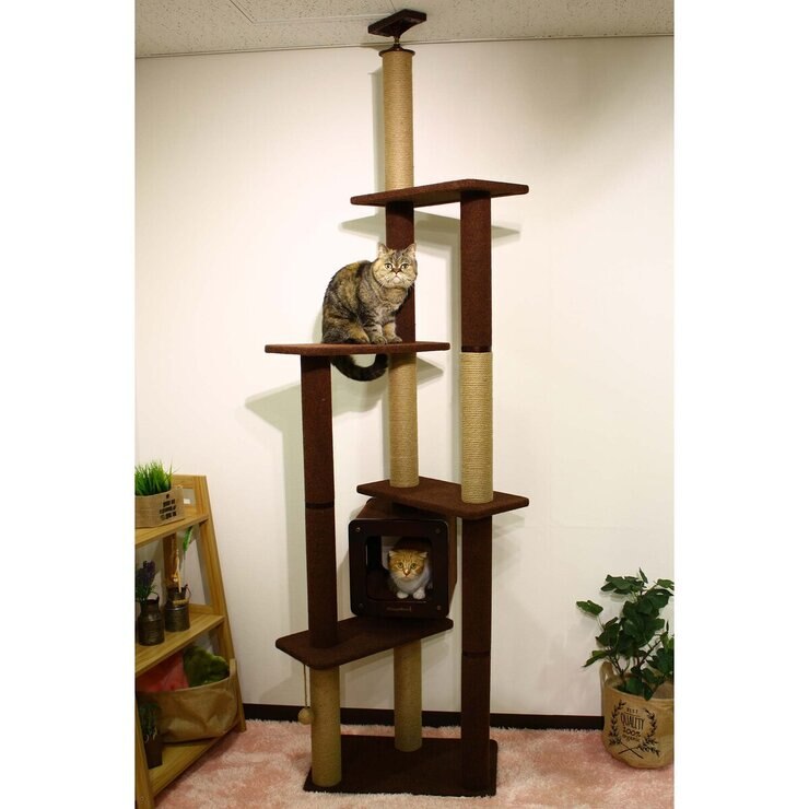 コストコ　キャットタワー　美品 🐾 コストコの6レベルのキャットツリー! このセットアップには