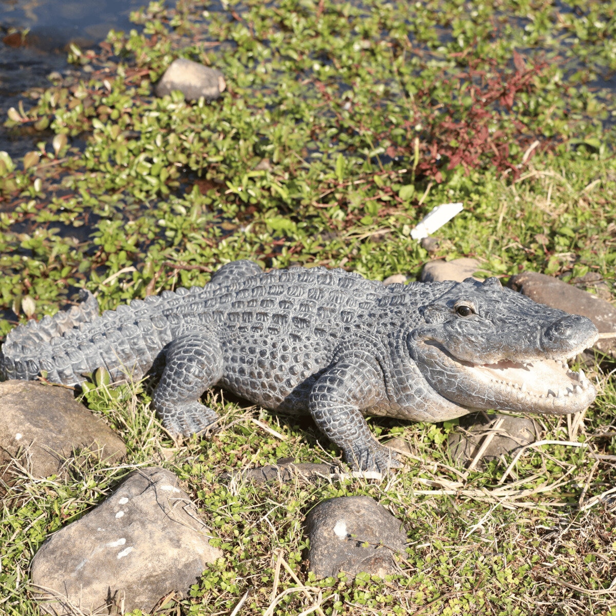 ウービア 餌を待つワニの置物 特大 H13177 ウービア 餌を待つワニの置物 特大 H13177