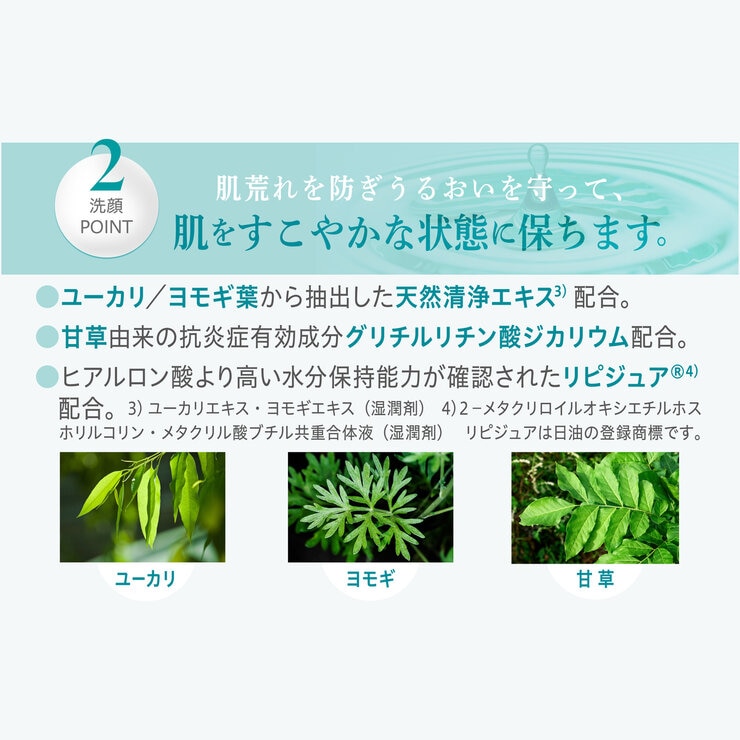 アトピアD 洗浄料 200ml 2本セット アトピアD 洗浄料 200ml 2本セット