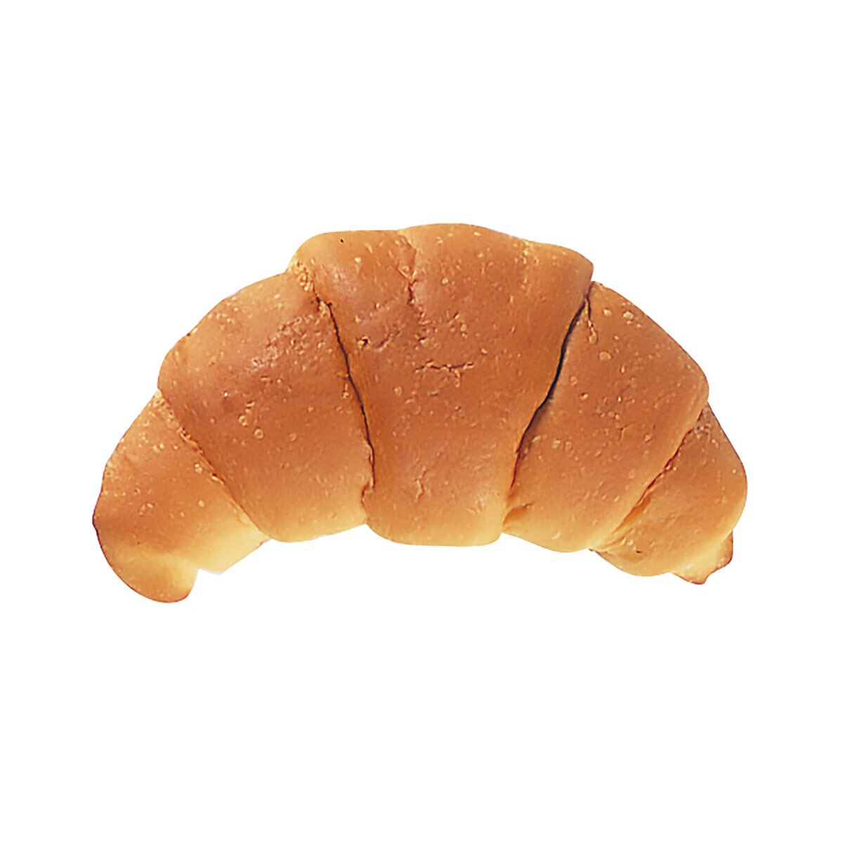 コモ ロングライフパン 毎日クロワッサン 16個