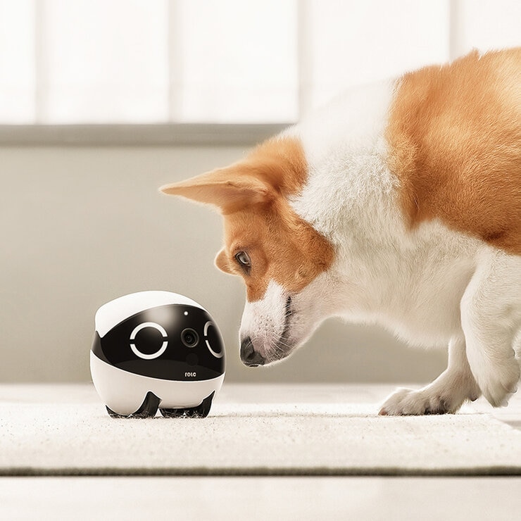 enabot ROLA Mini 愛犬・愛猫・家族のコンパニオンロボット