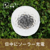7Life LEDソーラーライト サークル ４個セット