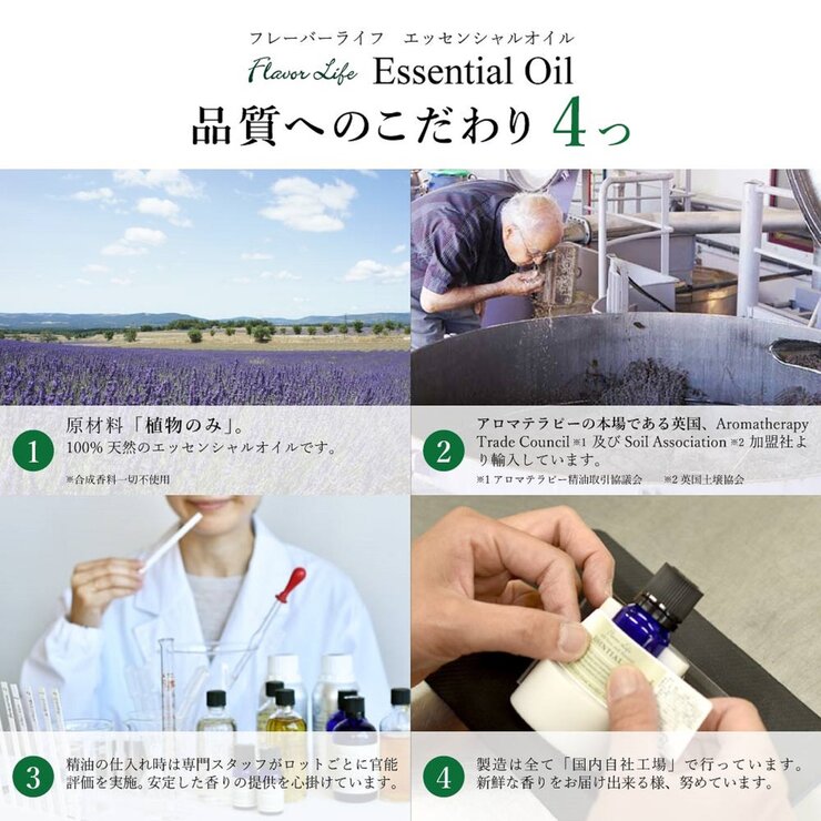 フレーバーライフ エッセンシャルオイル 温州みかん精油 100ml フレーバーライフ エッセンシャルオイル 温州みかん精油 100ml