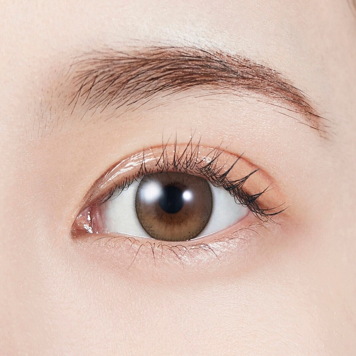 モラク ワンマンス ドーリッシュブラウン 2枚入り 宮脇咲良イメージモデルカラコン 度なし (±0.00)