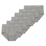 STANFIELDS メンズ ブリーフ 6枚組 S グレー