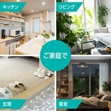 マックスステム ライトトラップ 本体 + 付け替え用プレート 5個 セット