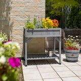 ベジトラグ ハーブ プランター グレイウッド ベジトラグ ハーブ プランター グレイウッド