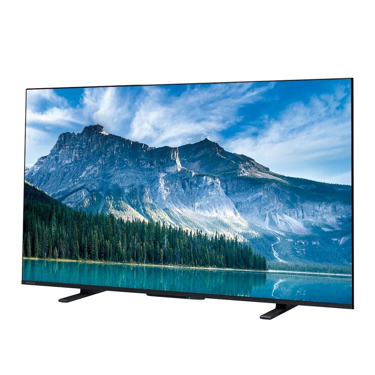 レグザ 50インチ 4K 液晶テレビ 50M550M