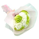 カーネーション 24本 ホワイトミックス
