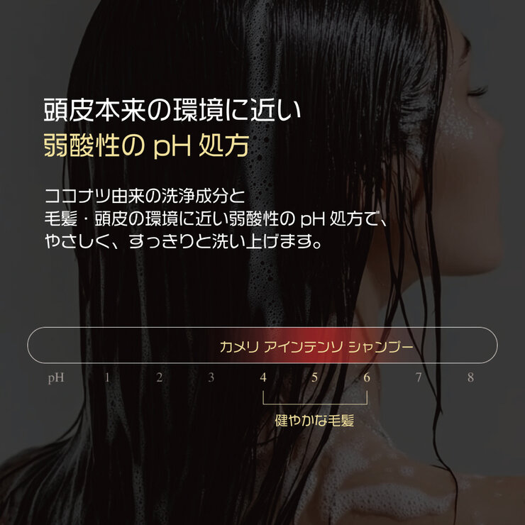 エラスティン カメリア インテンソ シャンプー 1,000 mL