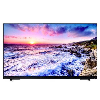 東芝 レグザ 55インチ 4K 量子ドット ミニLED 液晶テレビ 55Z870L