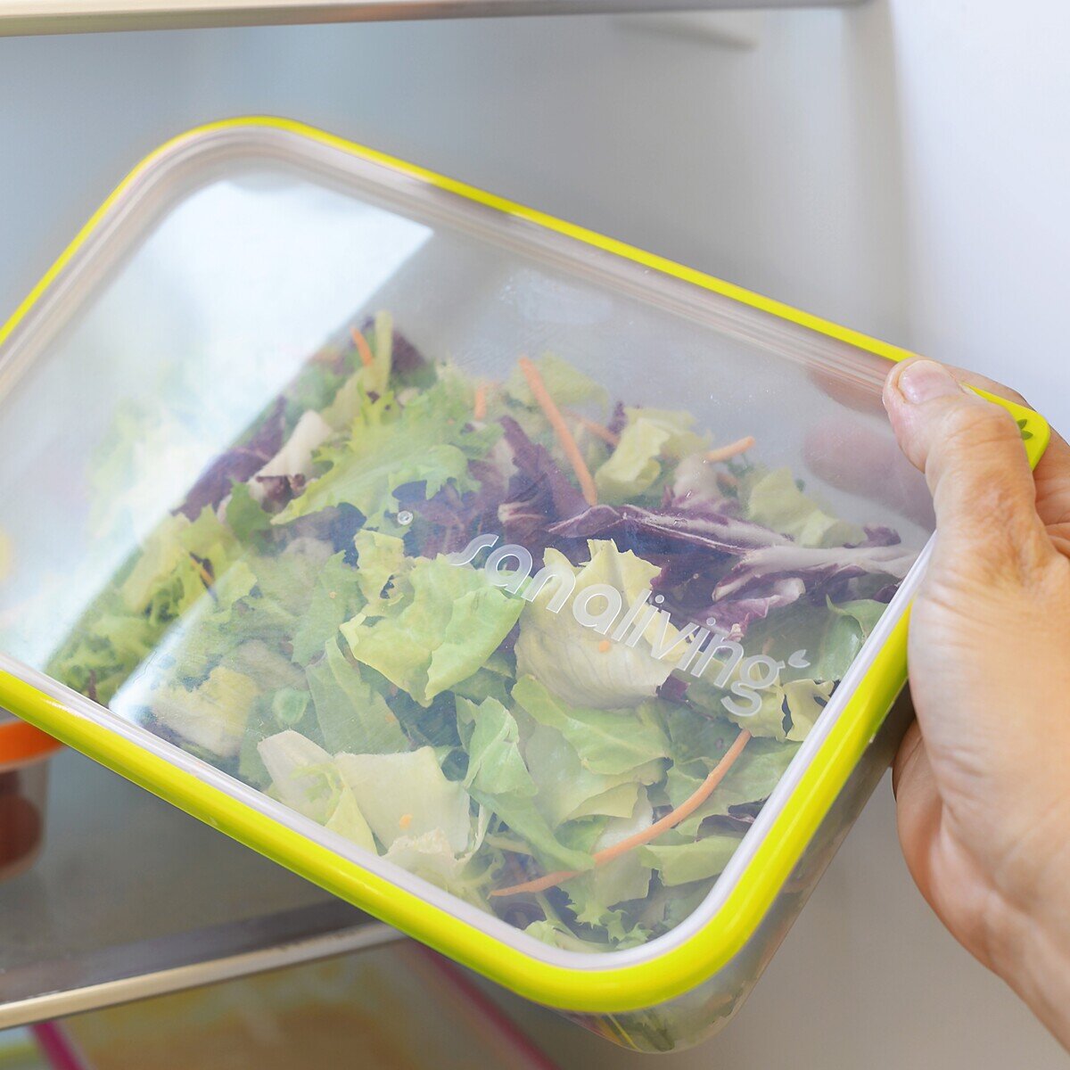 オマダ サナリビング 食品保存容器 16PC