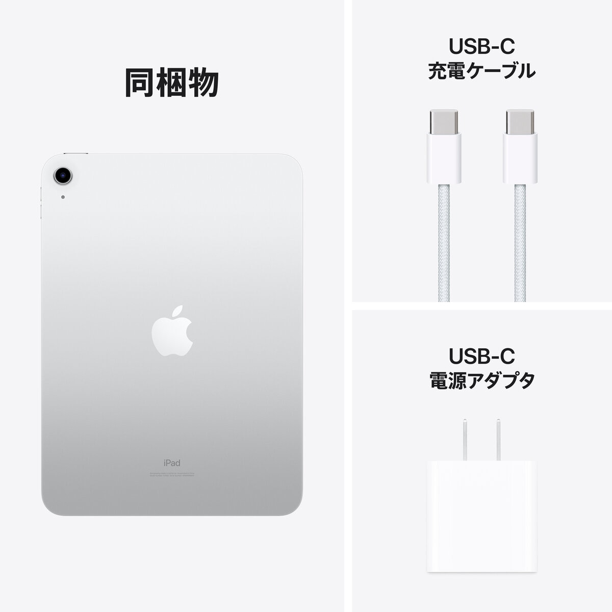 iPad第10世代      10.9インチ    64GB   無印