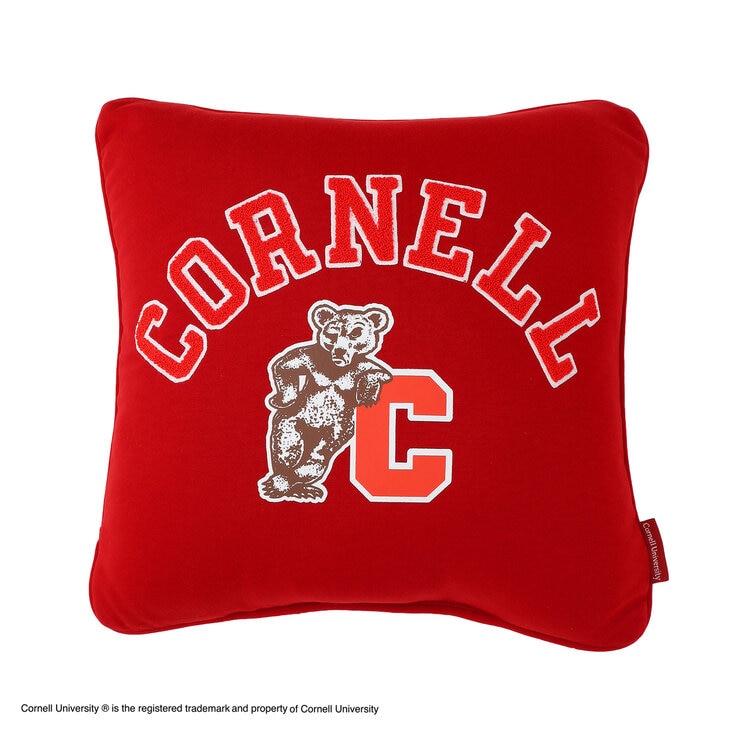 カレッジ デコピロー クッション 45 x 45cm