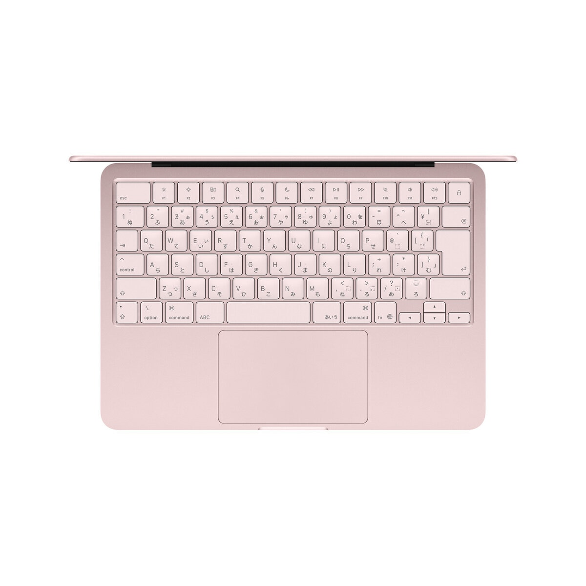Apple/MacBook Neo 13" A18Pro 8GB/256GB ブラッシュ US配列