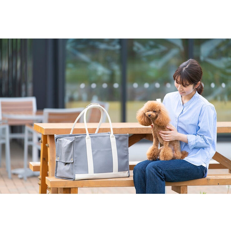 キャンバス トート キャリー L サイズ （アイボリーとグレー）
