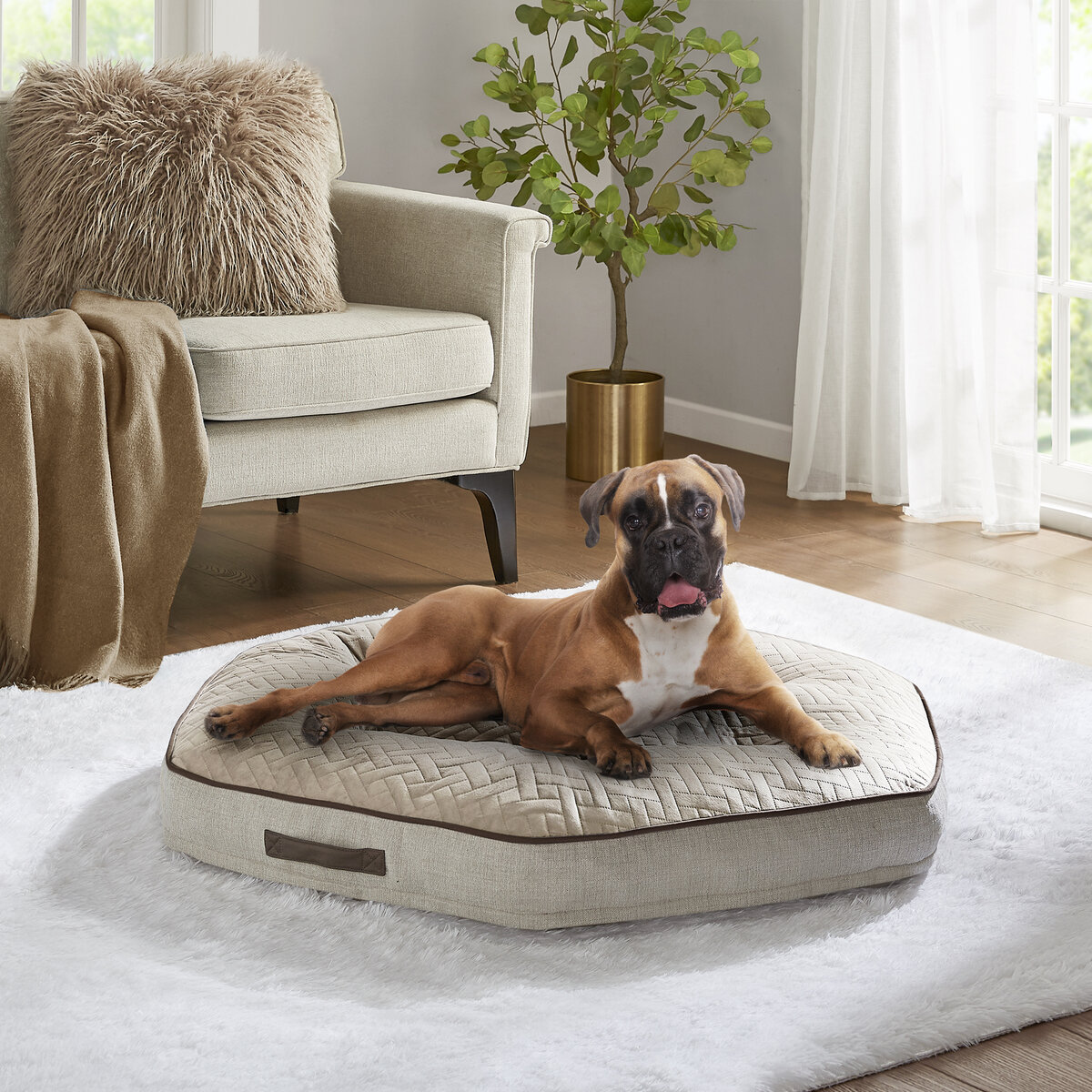 カークランドシグネチャー 六角形 ペットベッド106.6cm クリーム