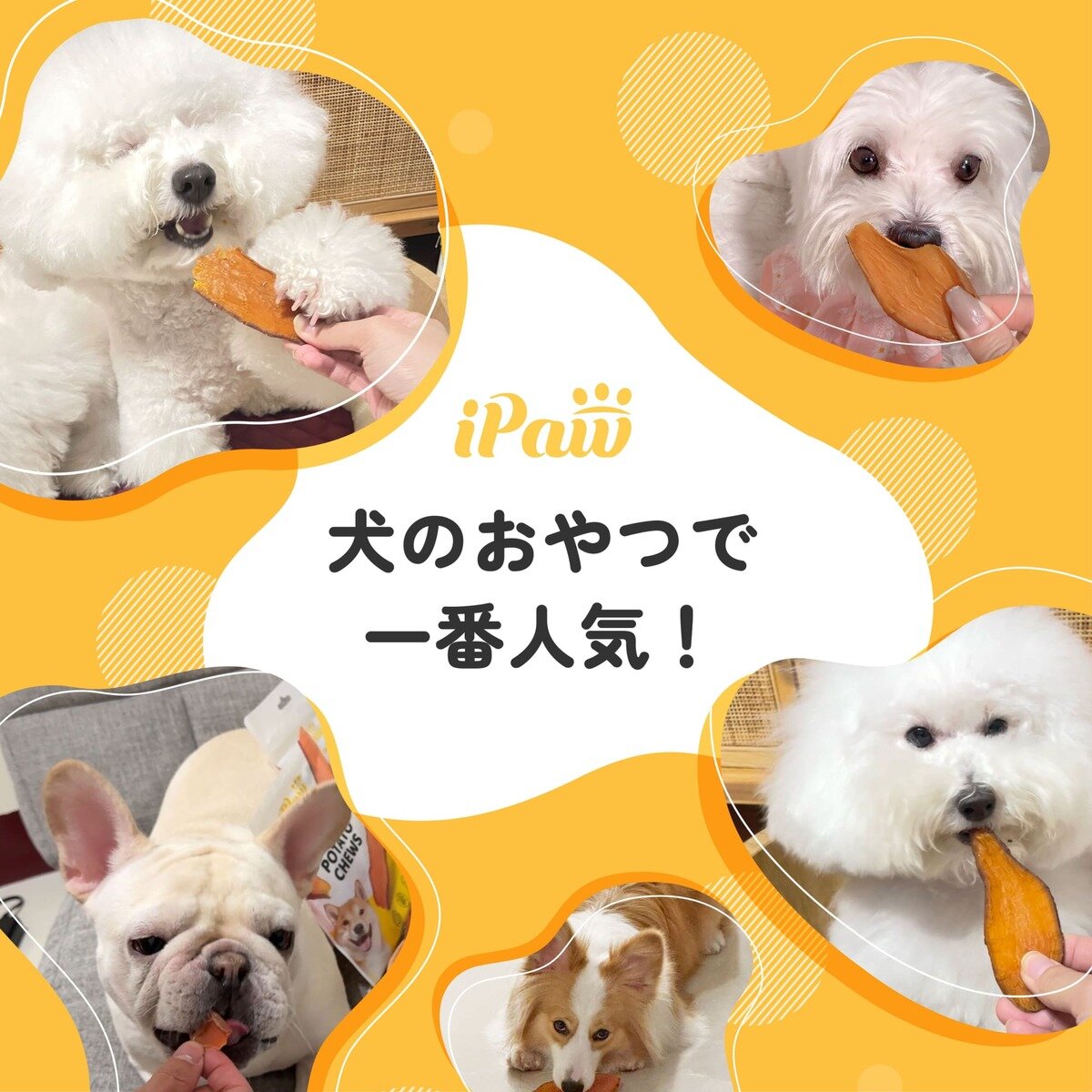 iPaw (アイポー) The スイートポテト 無添加犬用おやつ 100g x 3袋