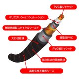 ローランド 楽器用ケーブル Goldシリーズ 3m 片L字型 RIC-G10A