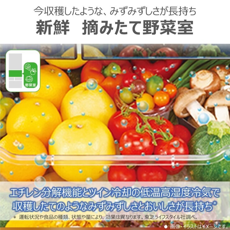 東芝 601L 冷蔵庫 GR-W600FK