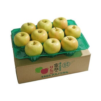 青森県産 トキ りんご 3kg